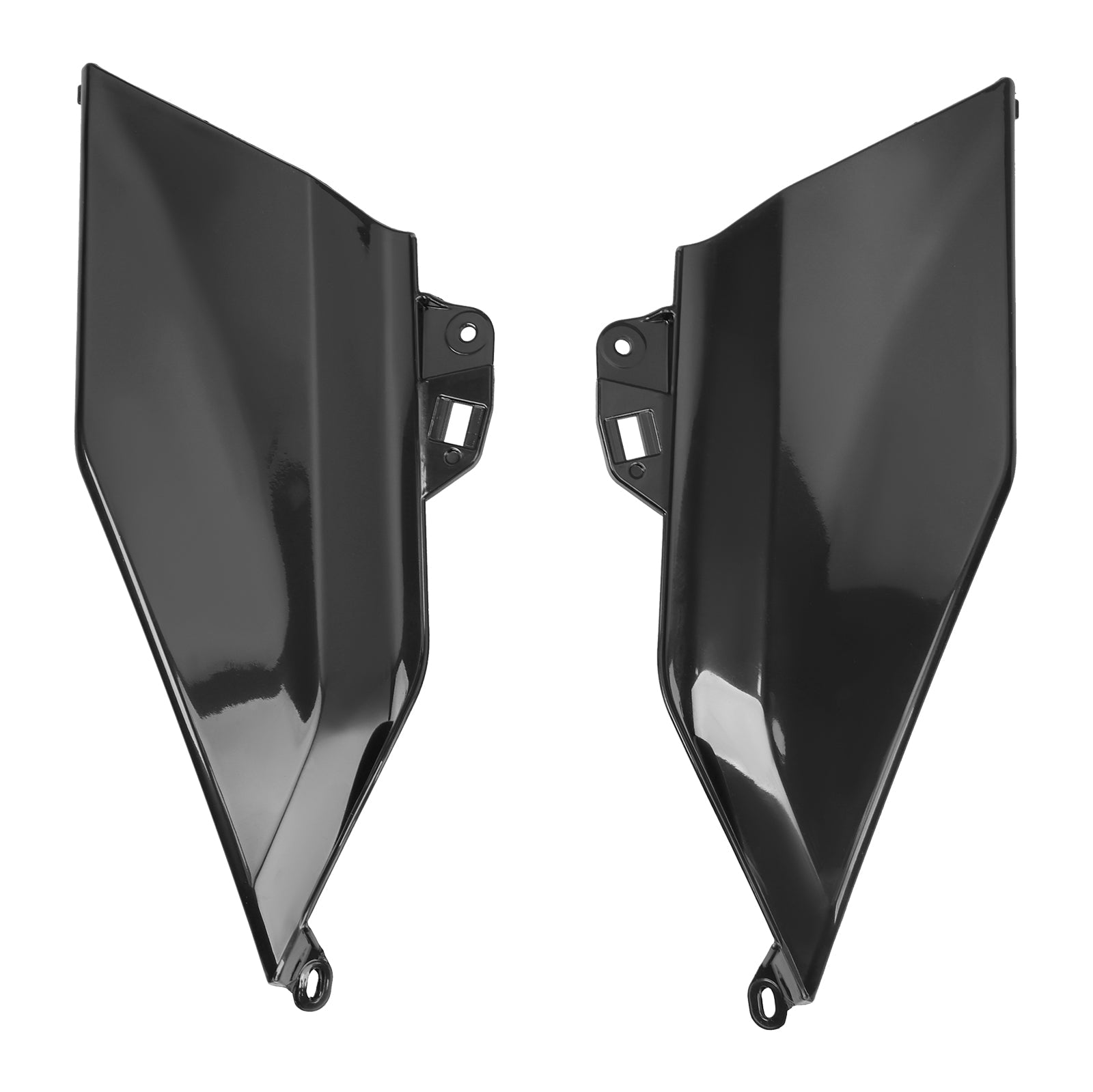 2024-2025 BMW R1300GS Bodywork Fairing Injection Unpainted