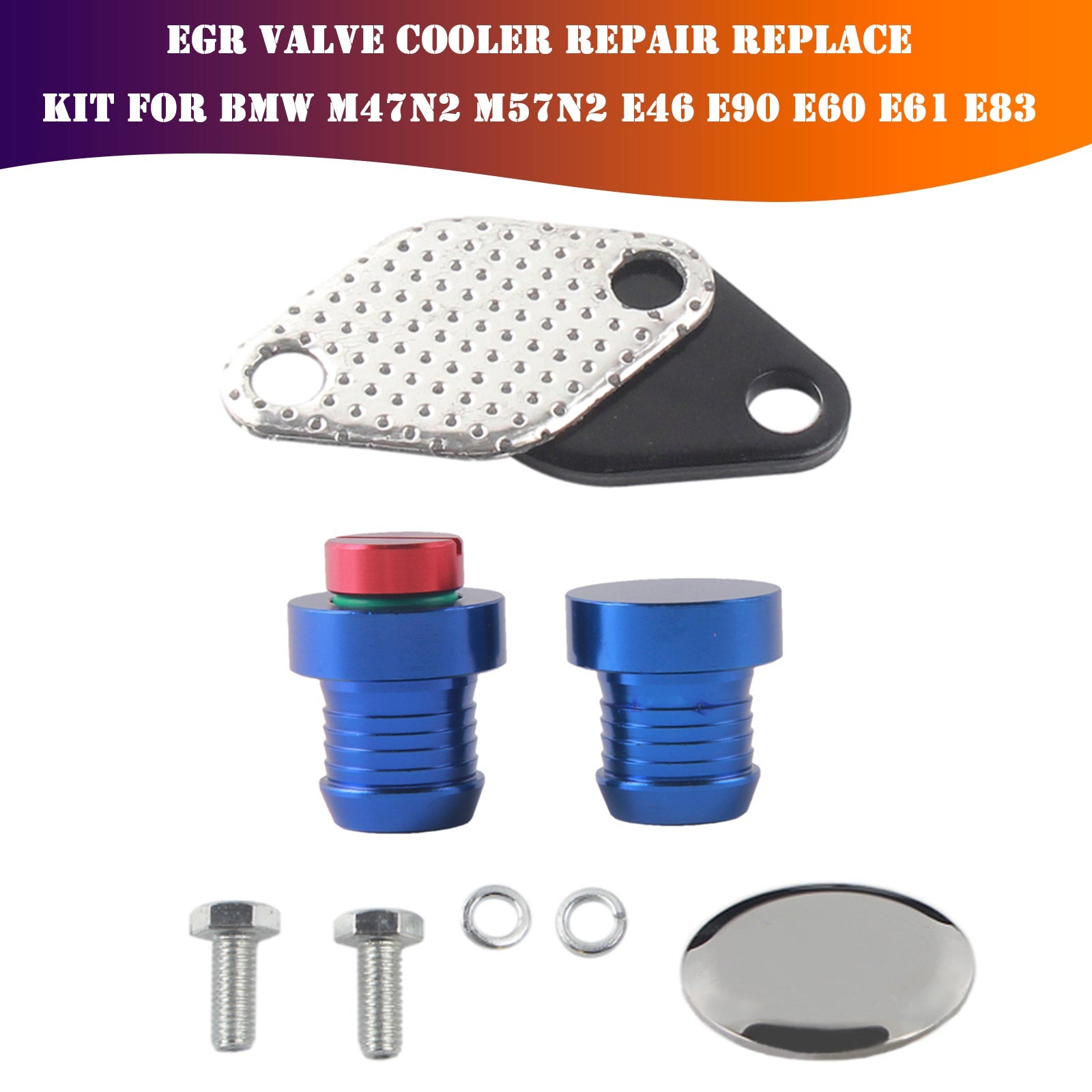 EGR Valve Cooler Repair Replace kit for BMW M47N2 M57N2 E46 E90 E60 E61 E83