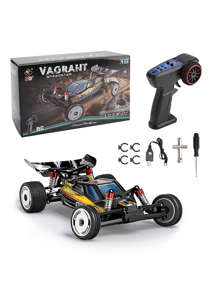 Wltoys 244016 2.4G 1:24 Scale 2WD High Speed Racing Off Road Remote Control Car