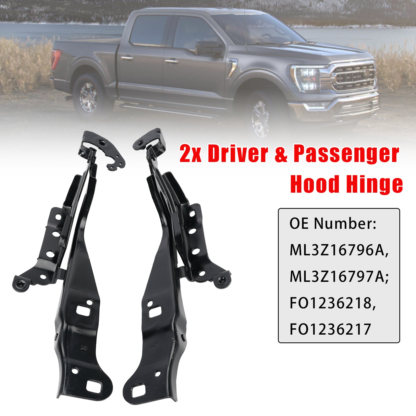 2x Driver & Passenger Hood Hinge for Ford F-150 Limited Lariat Raptor 2021-2023