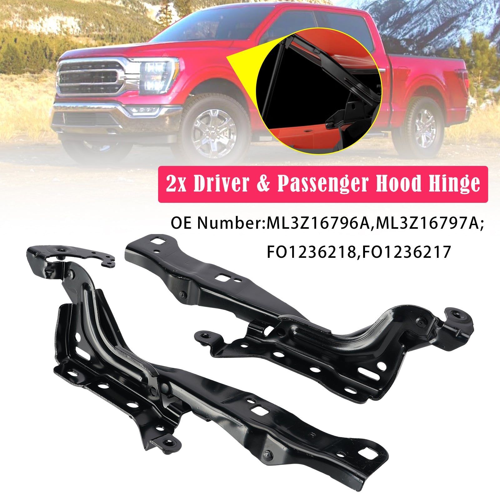 2x Driver & Passenger Hood Hinge for Ford F-150 Limited Lariat Raptor 2021-2023