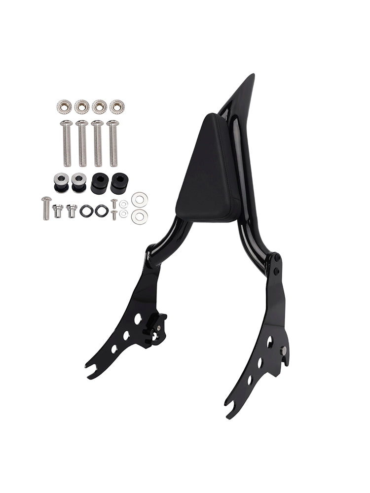 2018-2020 FXBB 107 Passenger Sissy Bar Backrest