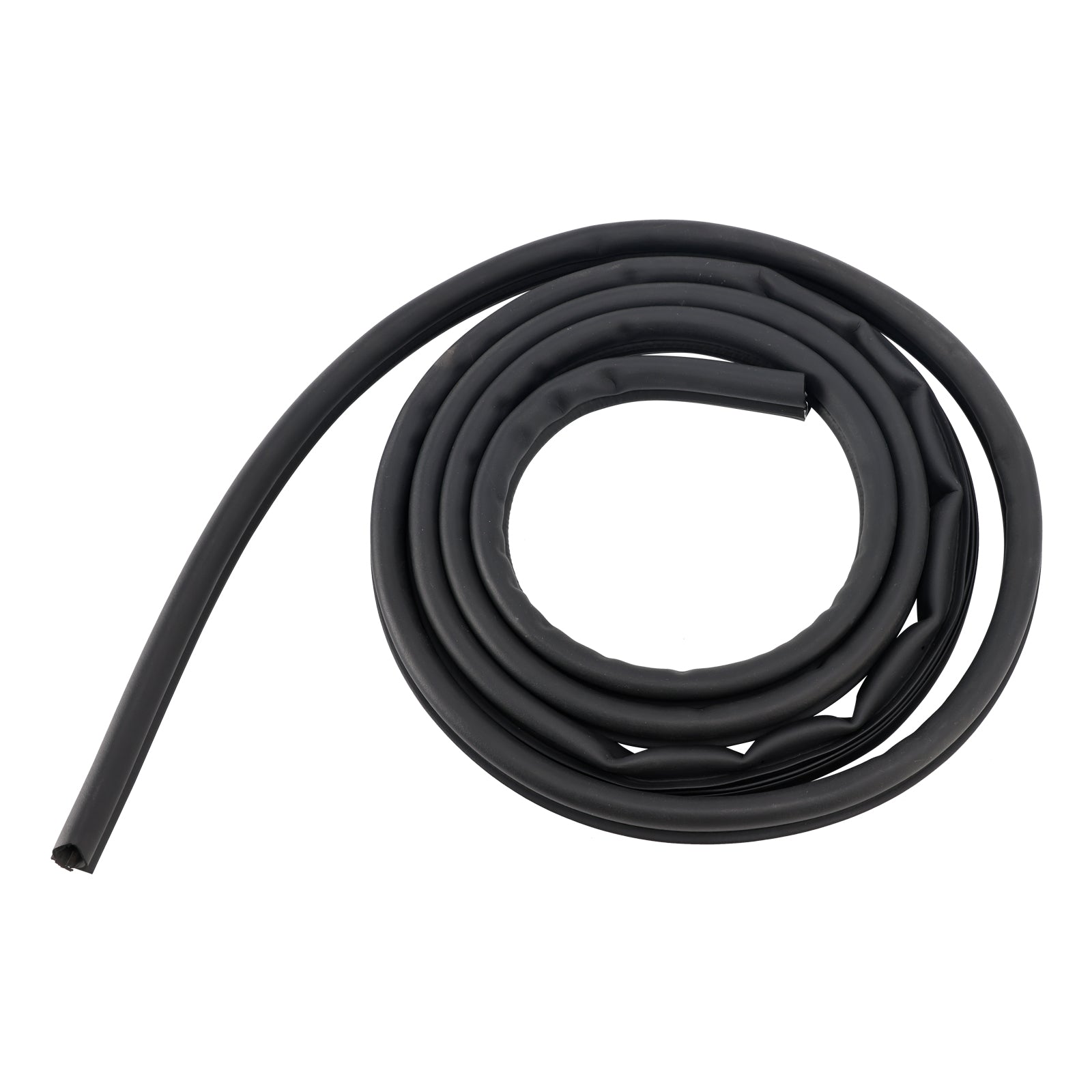 2002-2008 Dodge Ram 1500 2500 3500 pickup truck Front Door Weatherstrip Seal