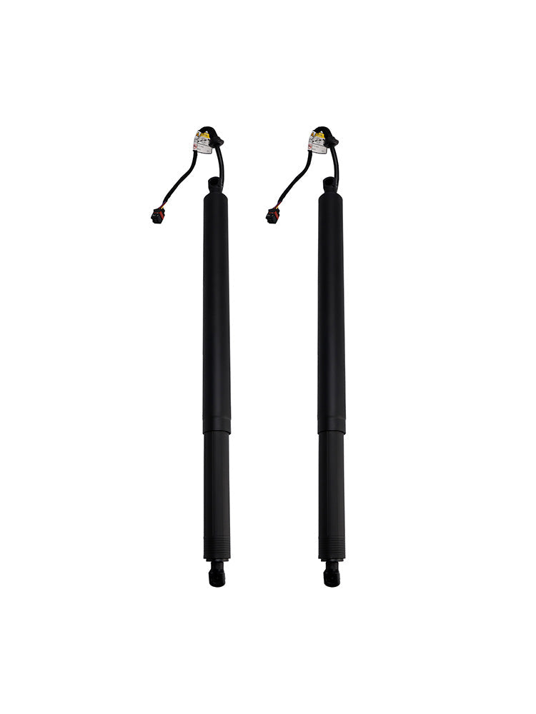 2019-2020 Hyundai Santa Fe 2PCS Rear Tailgate Power Lift Support 81831S1100