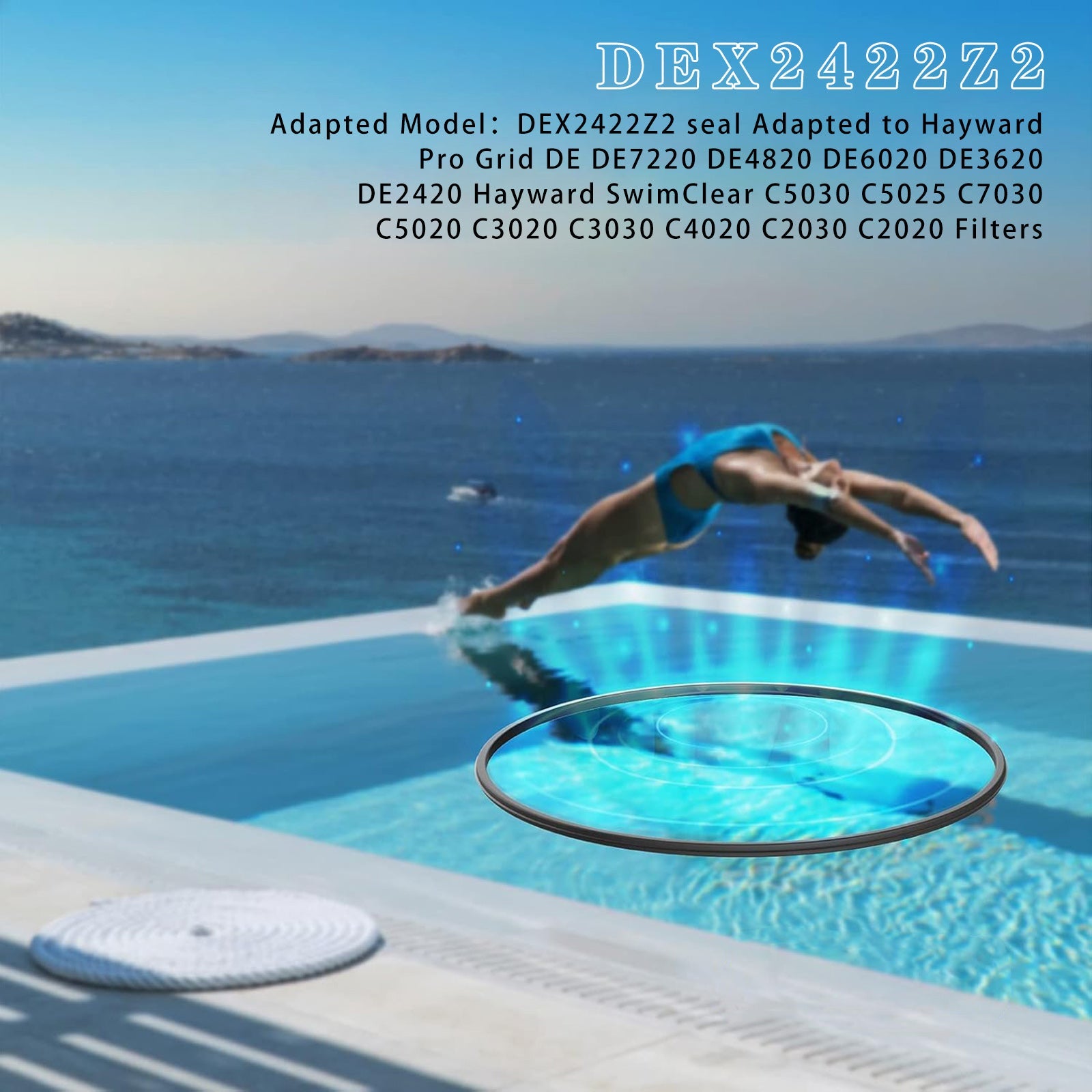 Upgrade DEX2422Z2 Filter Seal For Hayward Pro-Grid DE DE2420 DE3620