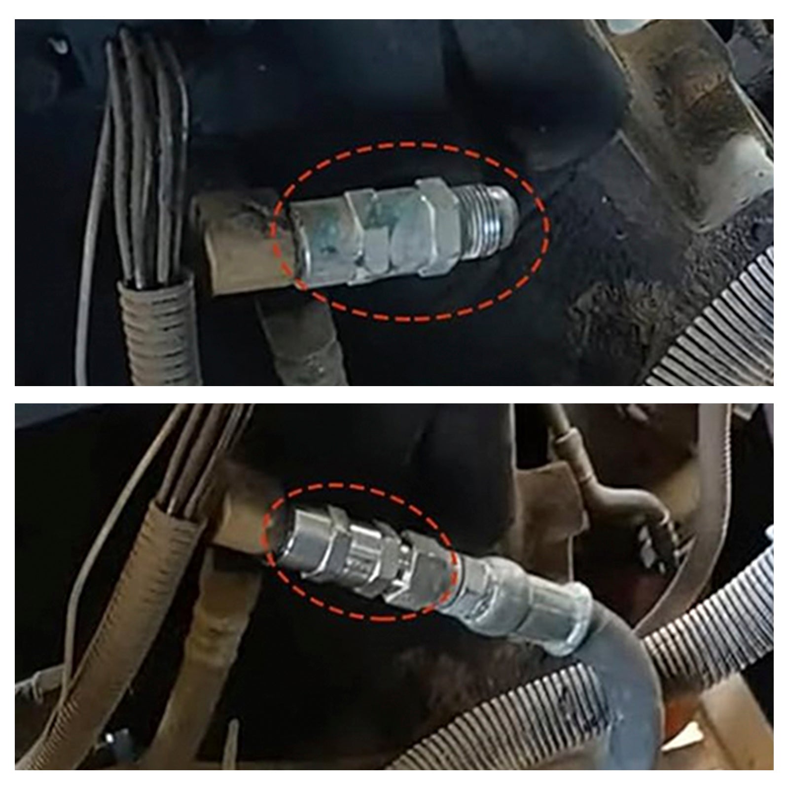 Detroit Diesel Series 60 Engines 12.7L Fuel Check Valve Regulator ?23516919