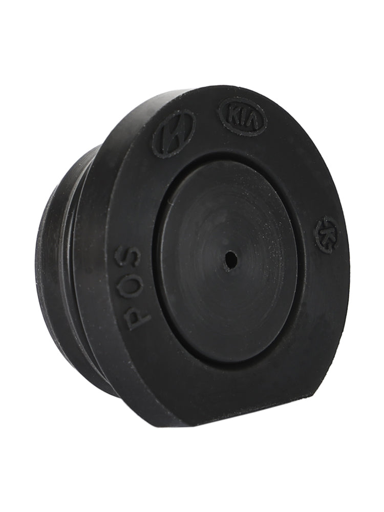 24352-2GGB0 24352-2GGA0 기아차용 새 캠축 플러그(현대차용) 블랙