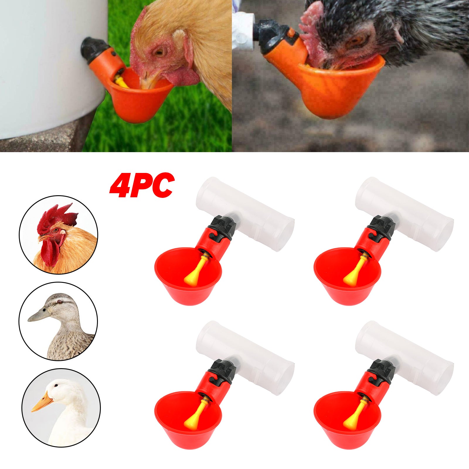 4PCS Water Drinking Cups Chicken Waterer Automatic Poultry Drinkers CA Market