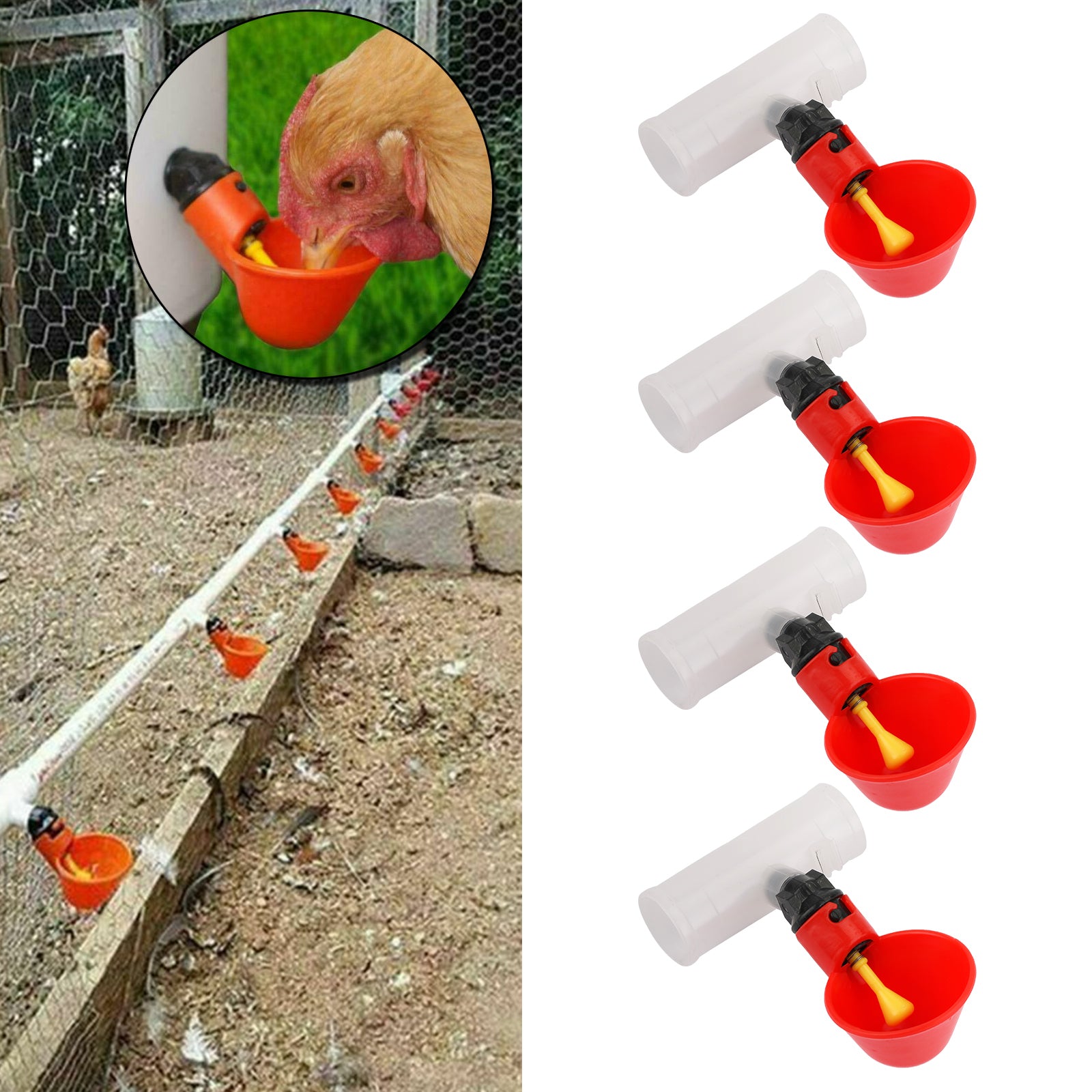 4PCS Water Drinking Cups Chicken Waterer Automatic Poultry Drinkers CA Market