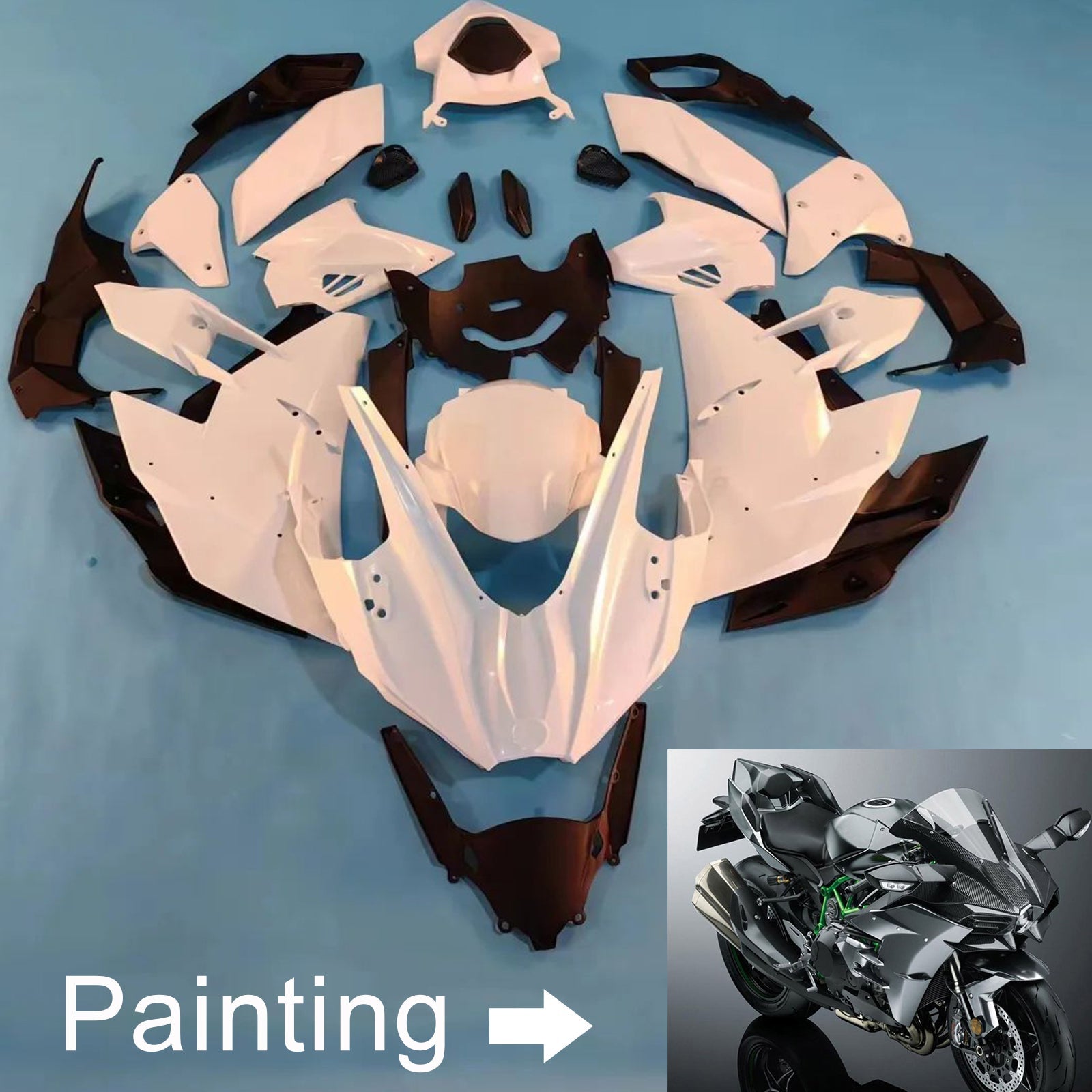 Kawasaki Ninja H2 2015-2022 Fairing Kit Bodywork ABS