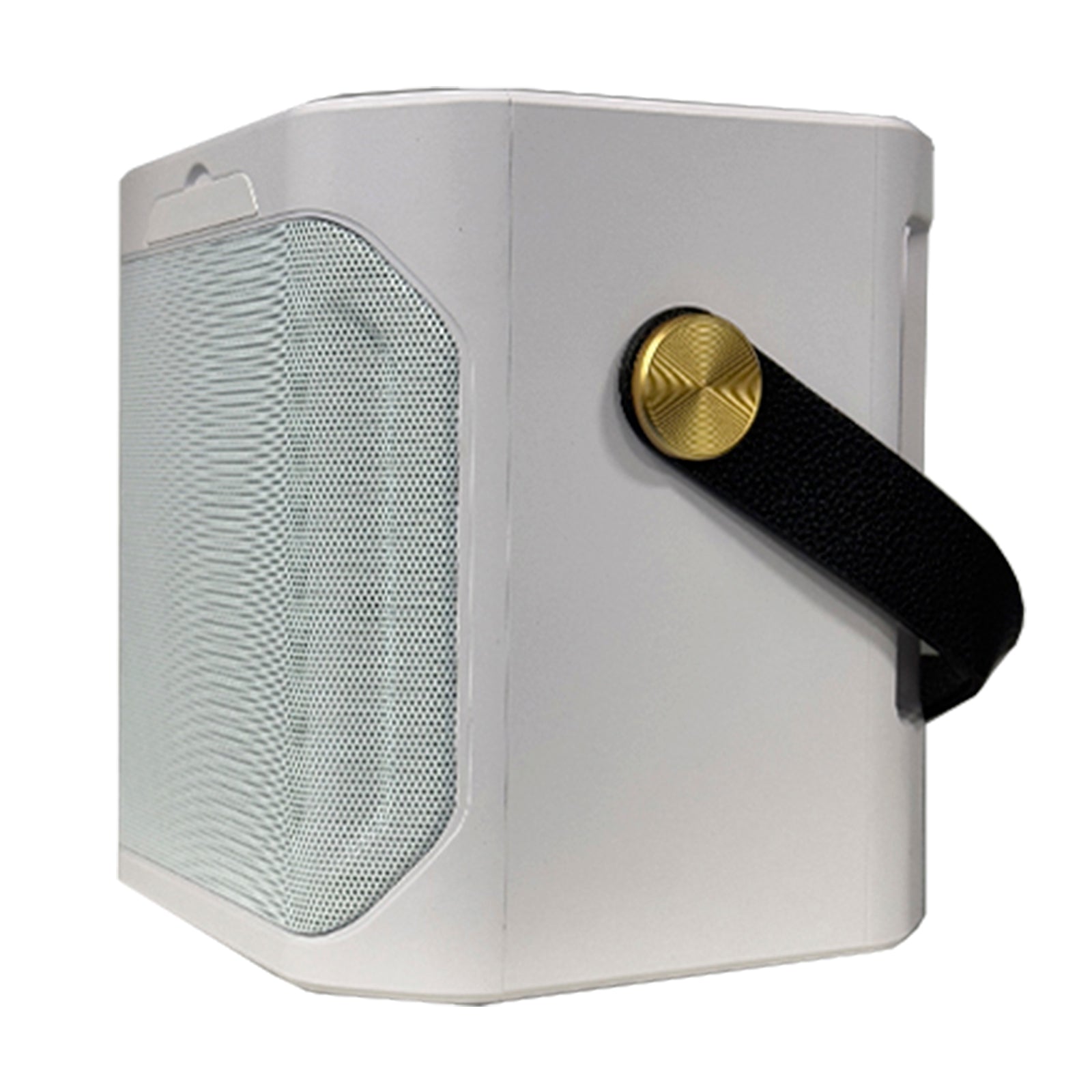 Wireless Bluetooth Speaker Dual Microphone Karaoke Home Portable Karaoke Speaker