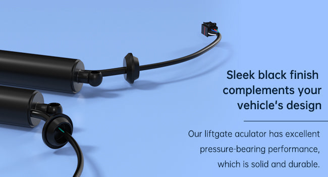 2020-2022 Hyundai Palisade 2PCS Power Liftgates Lift Support 81831-S8100