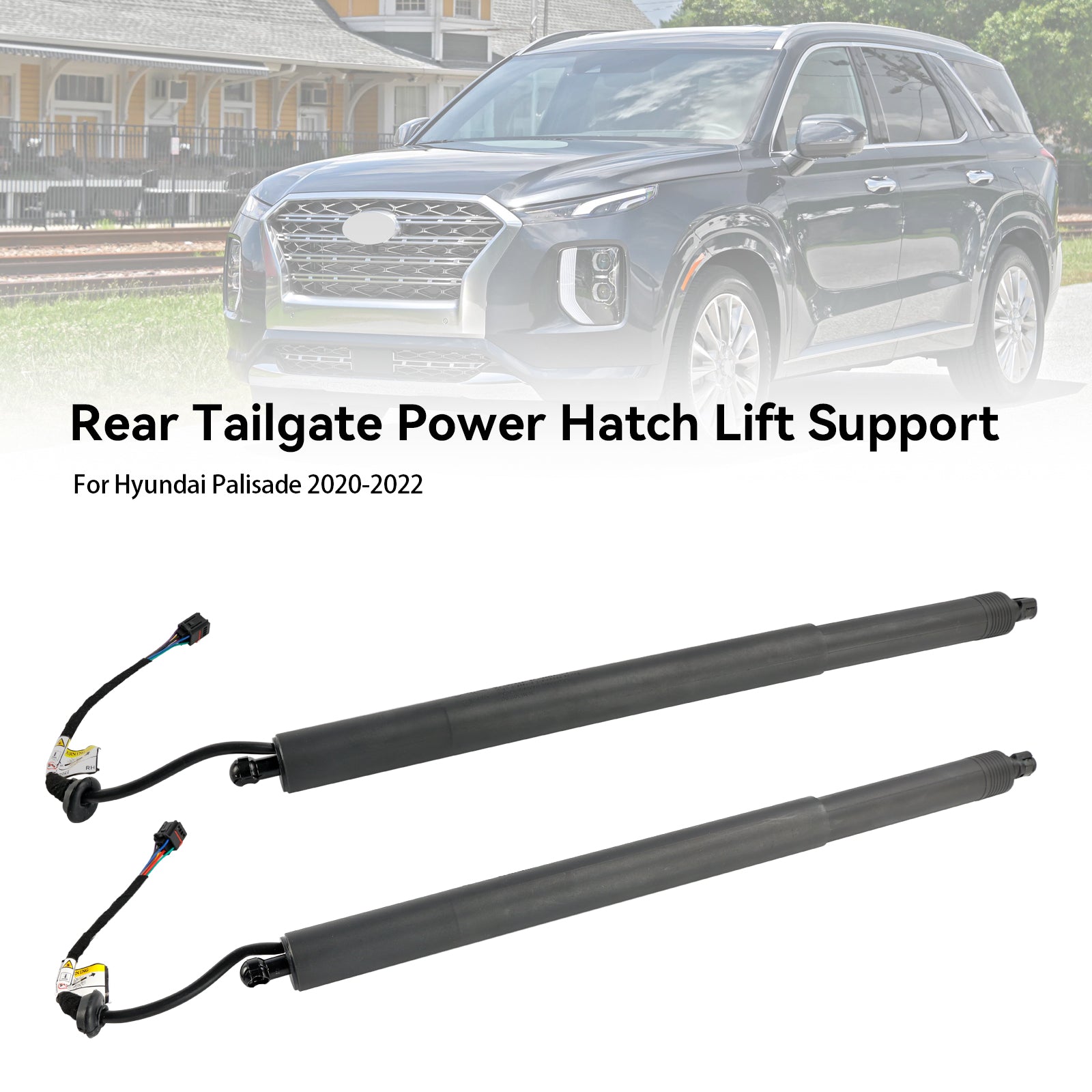 2020-2022 Hyundai Palisade 2PCS Power Liftgates Lift Support 81831-S8100