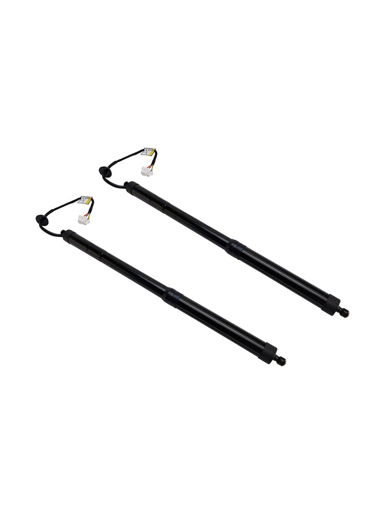 2011-2012 INFINITI EX35 2PCS Rear Electric Tailgate Strut 905603FY0A 905603FY0B