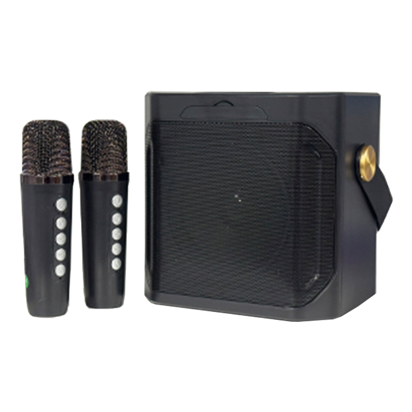 Wireless Bluetooth Speaker Dual Microphone Karaoke Home Portable Karaoke Speaker