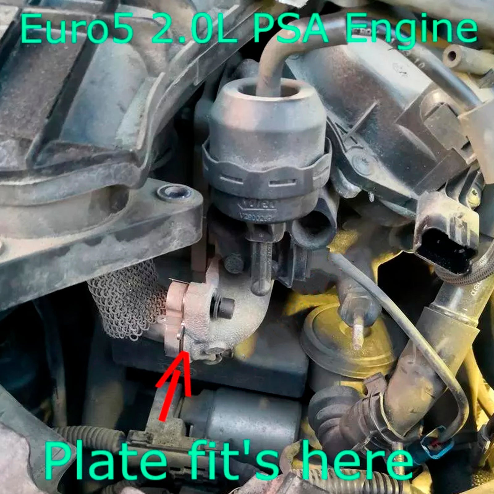 Ford Mondeo Kuga Focus 2.0L TDCi Euro5 D용 EGR 밸브 블랭크 플레이트W10CTED4