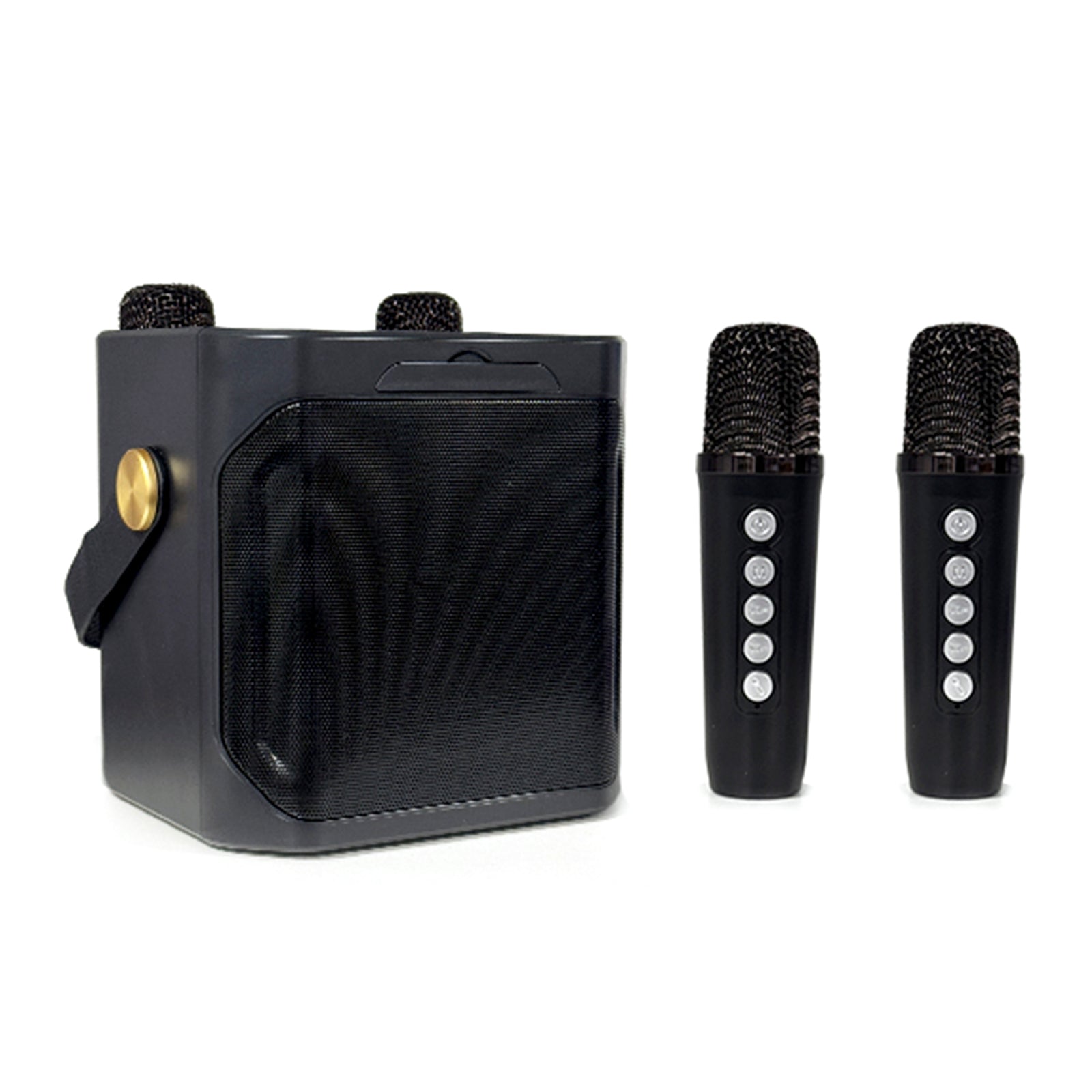 Wireless Bluetooth Speaker Dual Microphone Karaoke Home Portable Karaoke Speaker