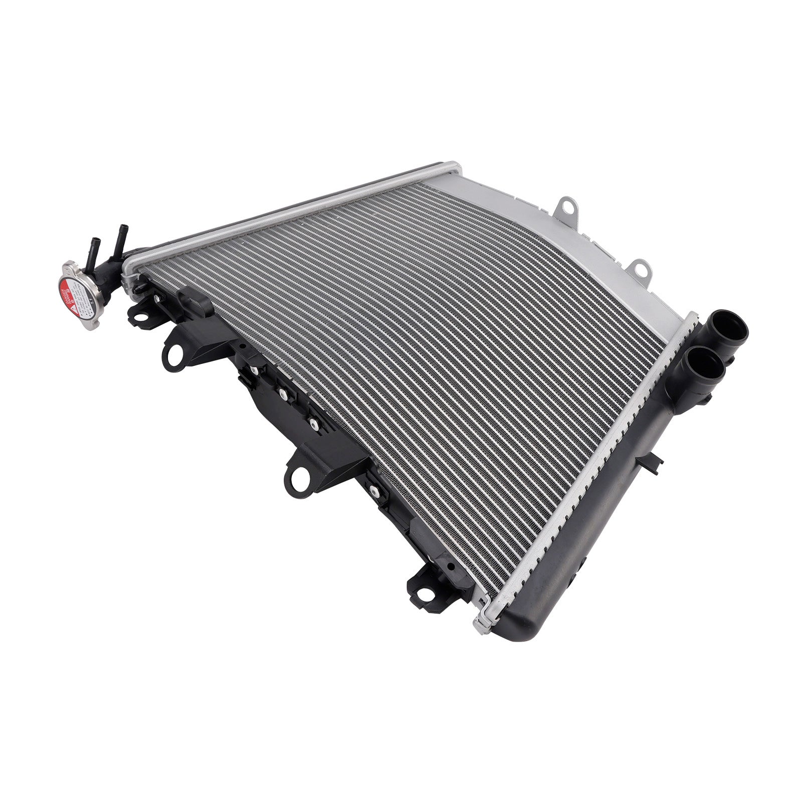 2023-2025 BMW M1000R Radiator Cooling Engine Cooler
