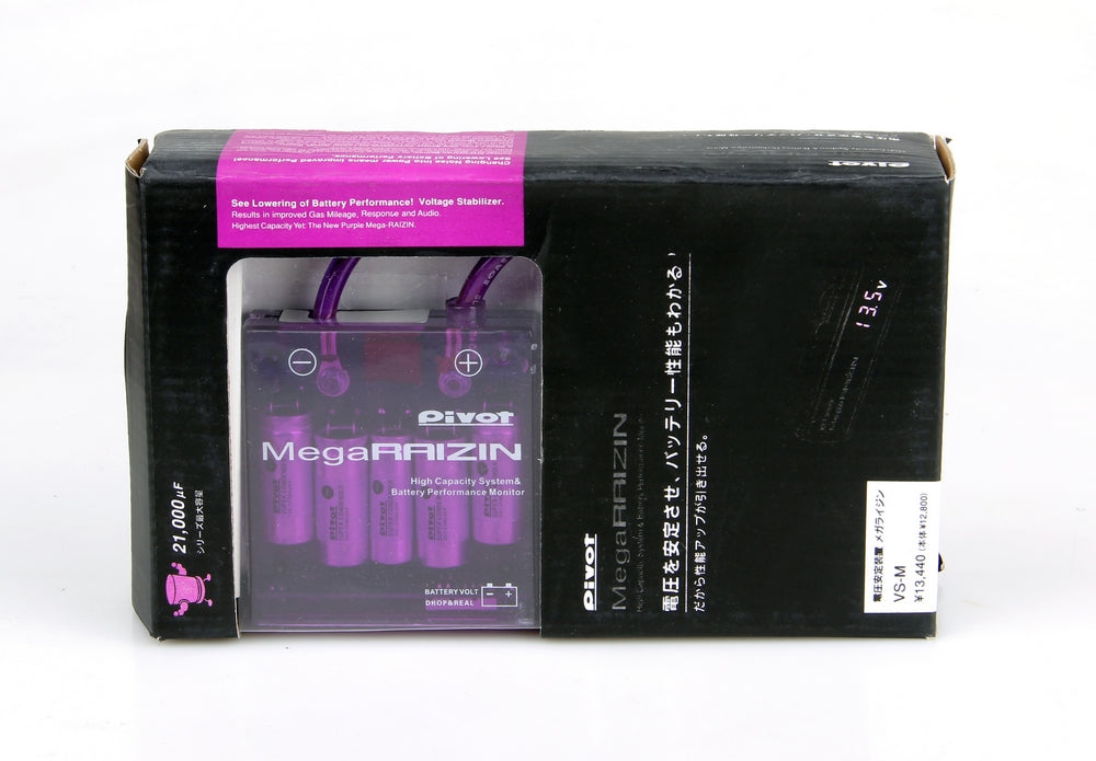 Universal PIVOT MEGA RAIZIN Ahorro de combustible Estabilizador de voltaje Regulador Puesta a tierra