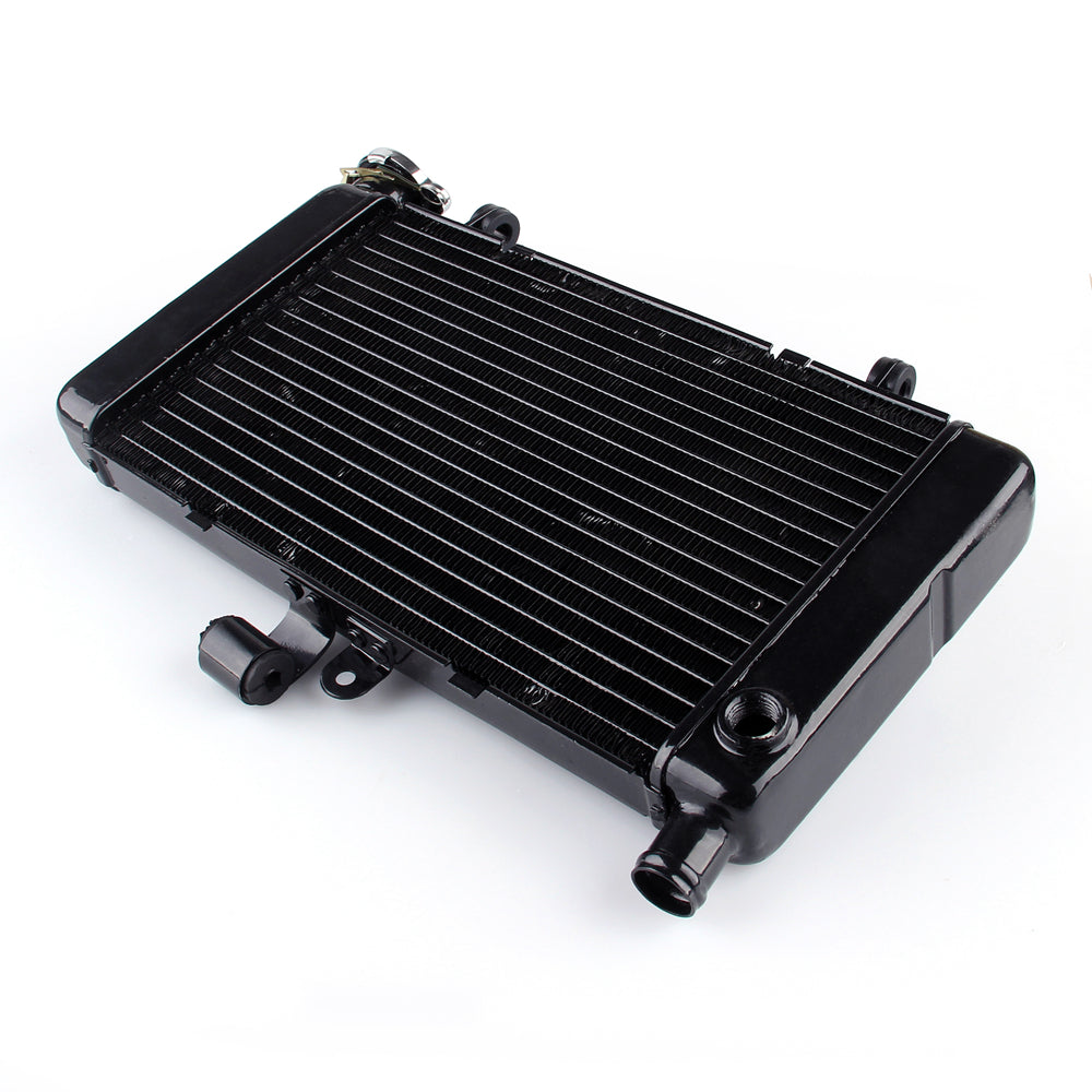 혼다 VT250(Magna250) 1995-1997용 라디에이터 그릴 가드 쿨러(검정색, 일반)