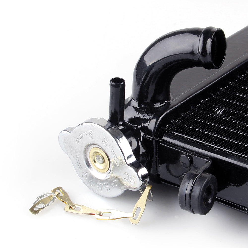 혼다 VT250(Magna250) 1995-1997용 라디에이터 그릴 가드 쿨러(검정색, 일반)