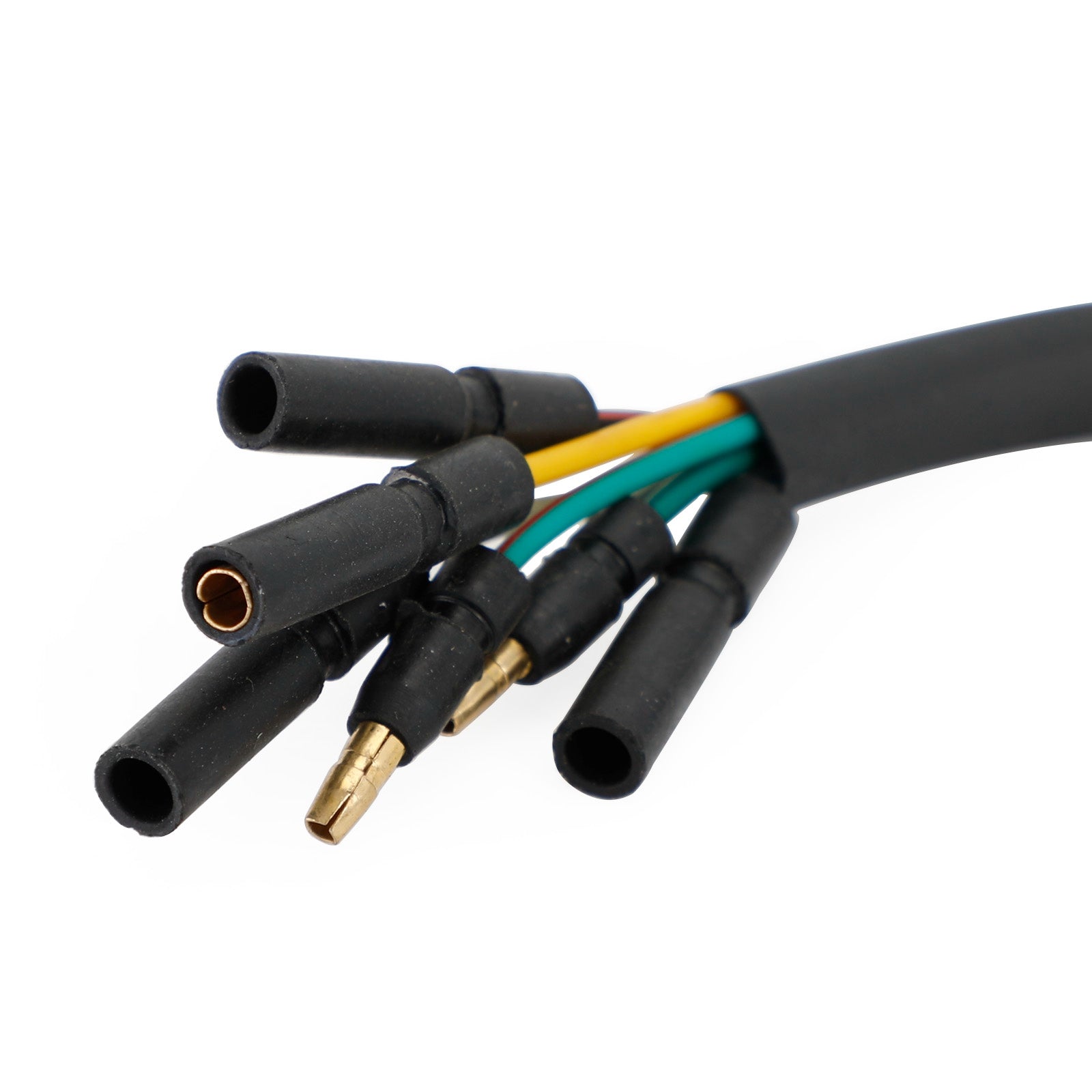 Flywheel Stator Plate Kit – Fits 90cc/110cc/125cc Pit Pro & Trail Dirt Bikes (Kick Start)