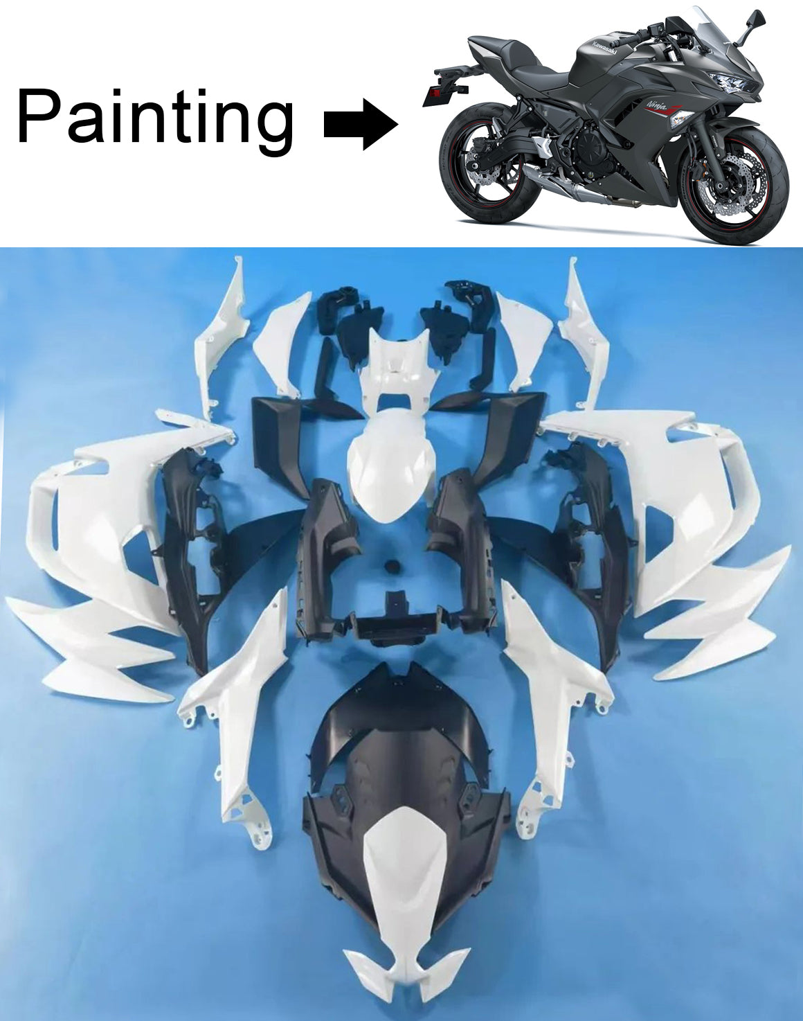 Kawasaki ER-6F Ninja650 2020-2025 Fairing Kit Bodywork ABS