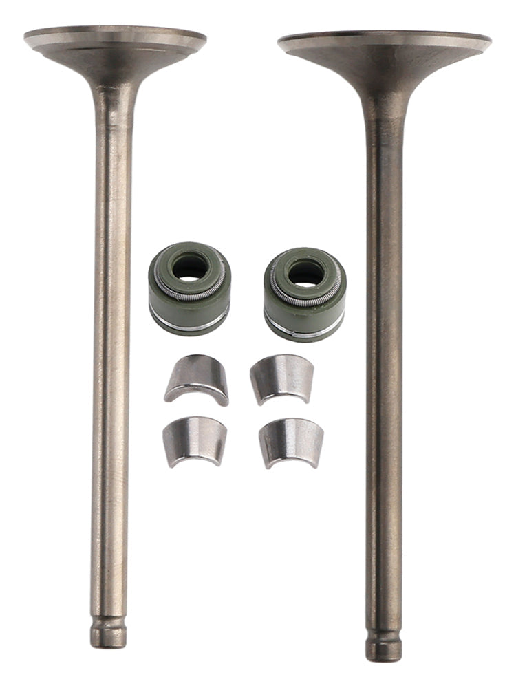 VALVE SET INLET & EXHAUST FOR CG200 GS200 DIRT BIKE POCKET BIKE ATV QUAD