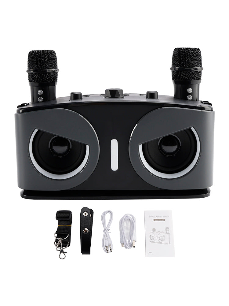 Wireless Bluetooth Speaker 20W High Power Home Theater Karaoke All-in-One Audio