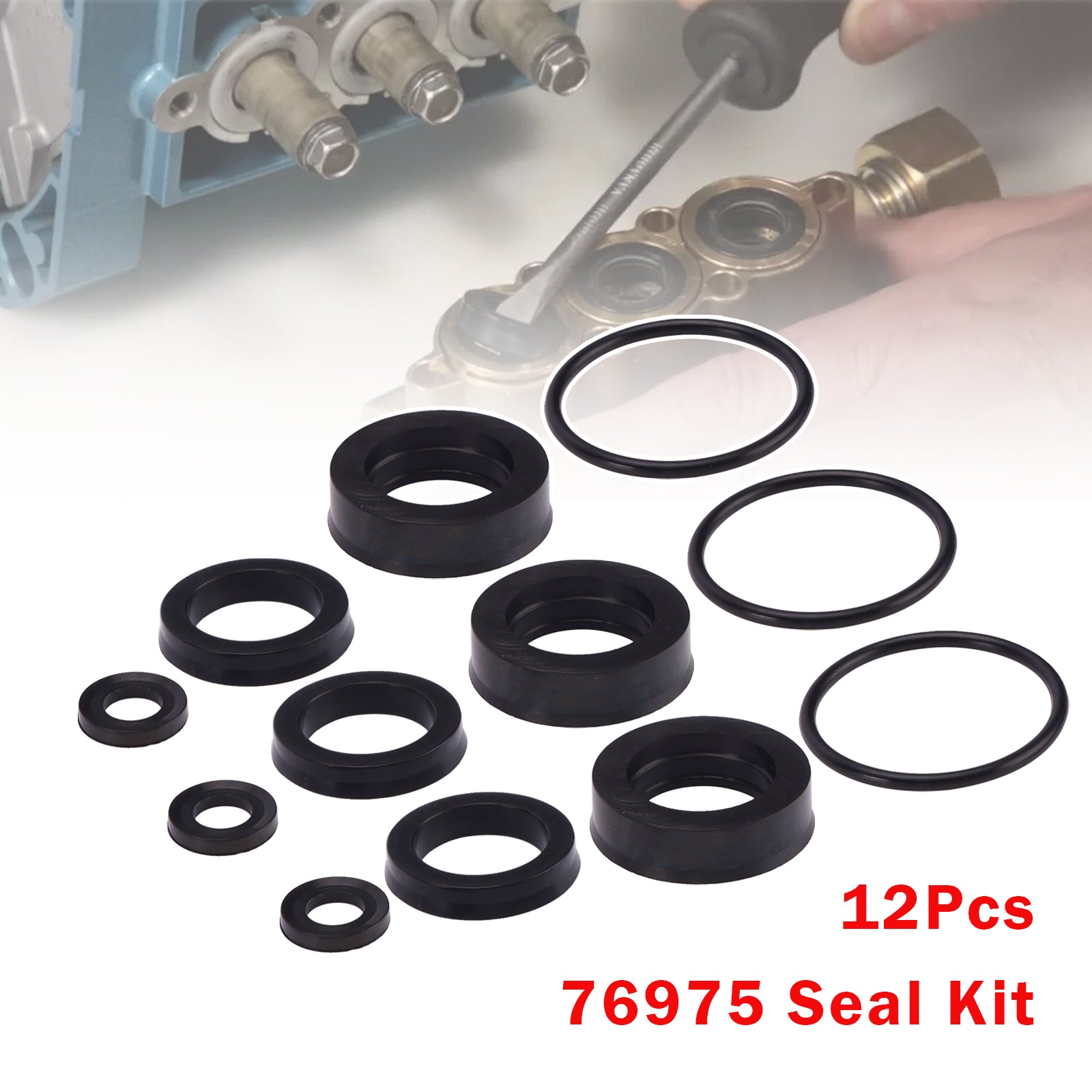 12Pcs 76975 Seal Kit For Cat Pump 4DNX Pumps 4DNX25GSI 4DNX27GSI Seal Kit