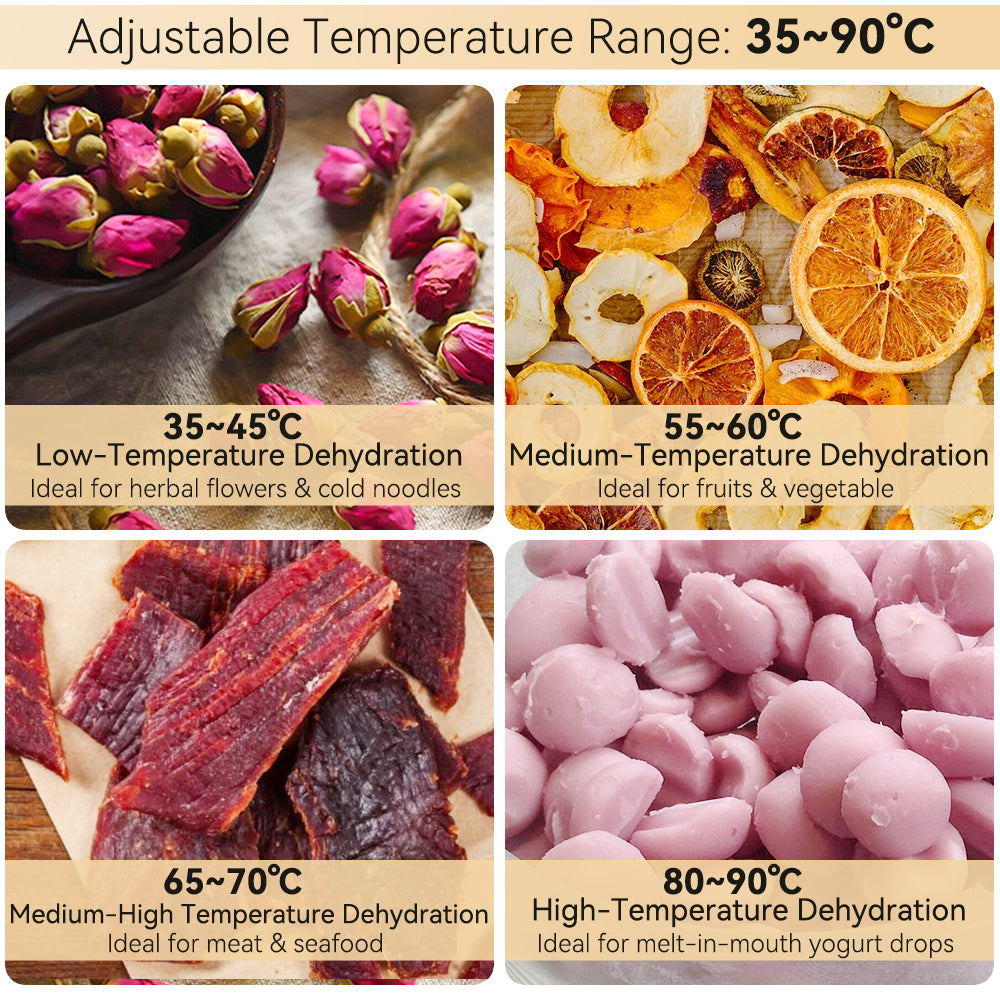 Food Dehydrator