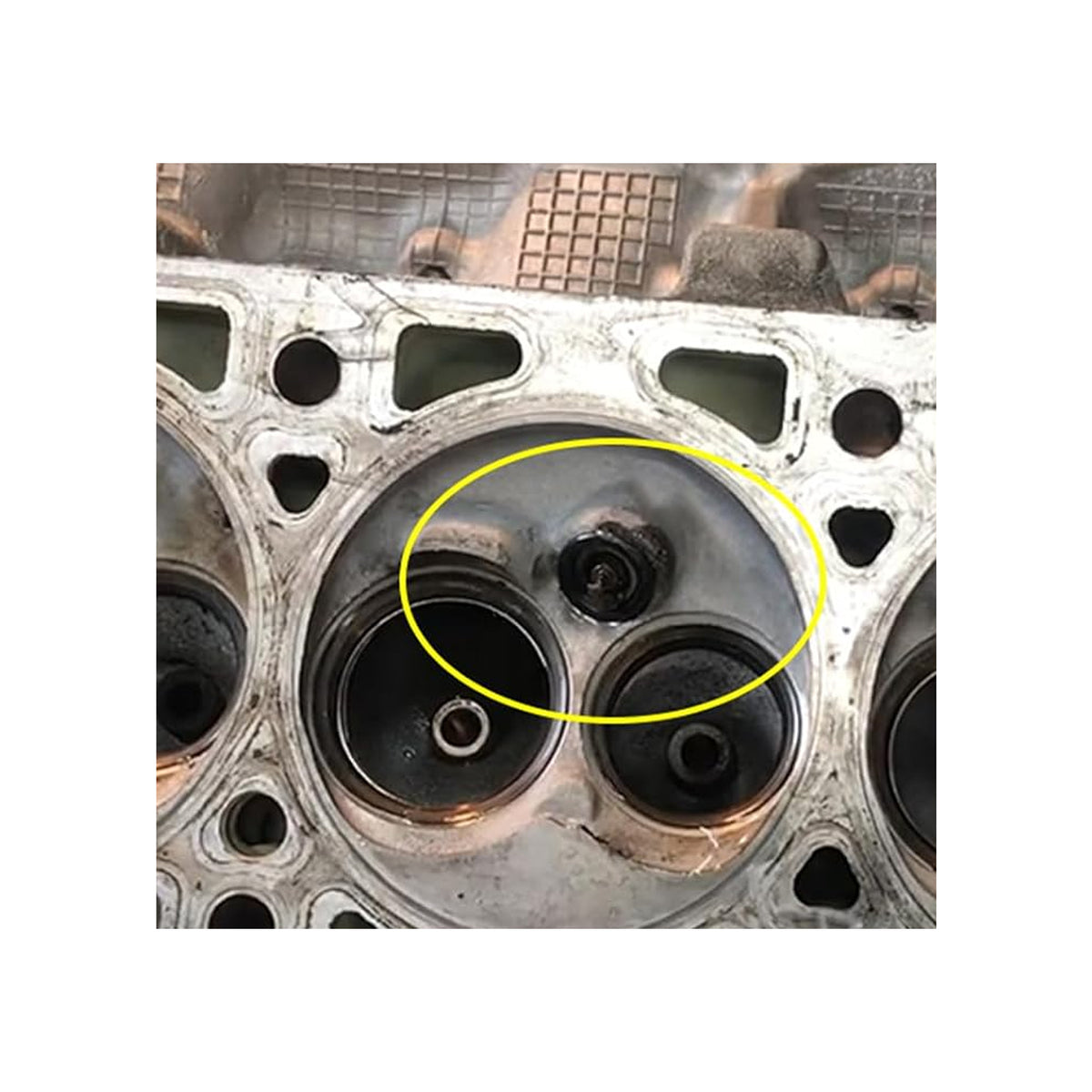 Fix Thread Failed Repair Insert Extra-Large For Ford Cylinder Head 4.6L 2-valve