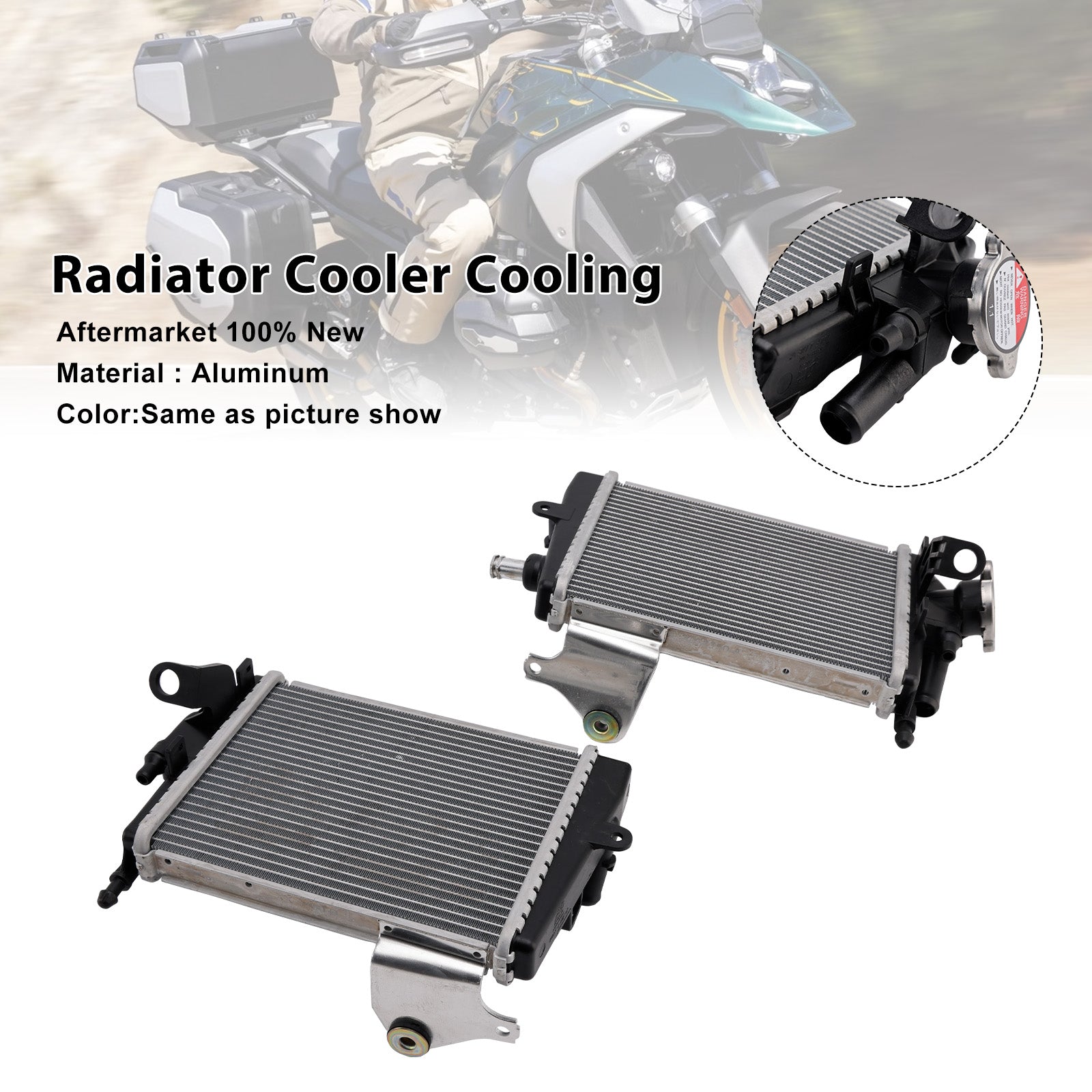 2024-2025 BMW R1300GS Radiator Cooling Engine Cooler