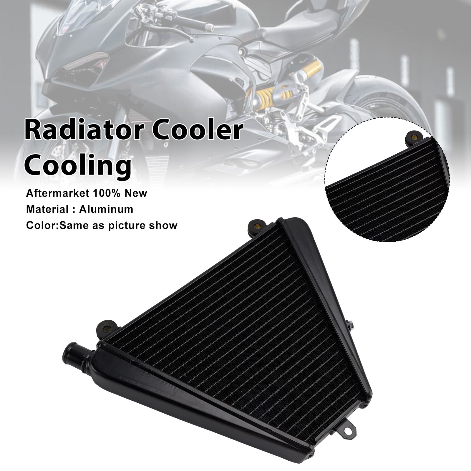 2022-2024 Ducati Panigle V2 Troy Bayliss Radiator Cooler Cooling