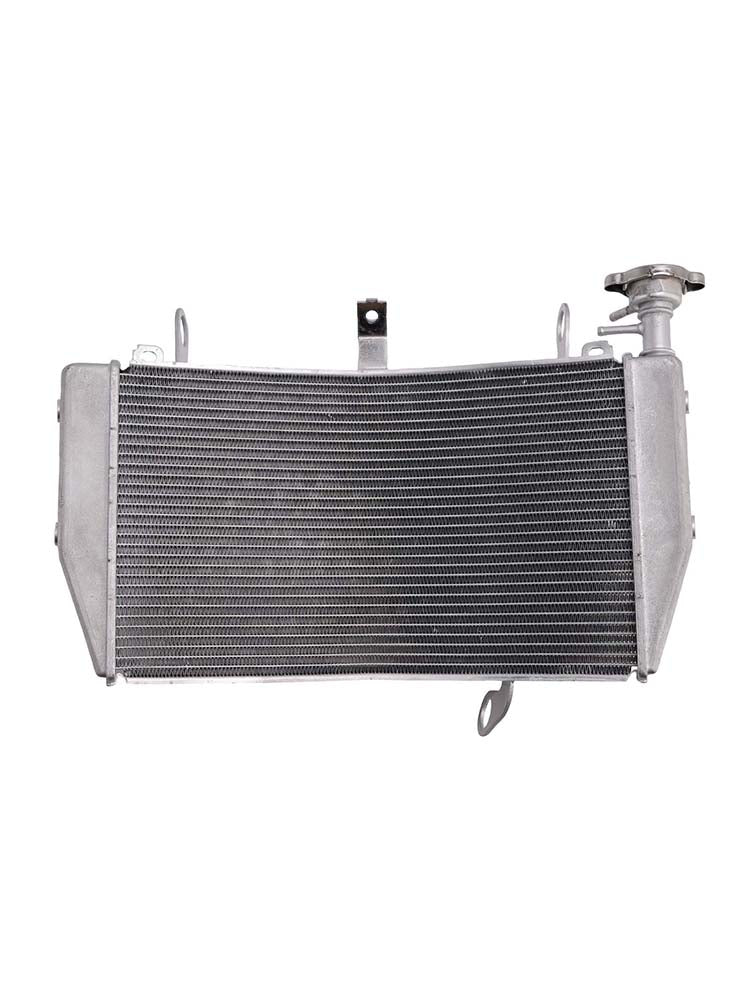 Radiator Cooler Cooling Fit For Ducati Monster 1200 2014-21 821 2015-2021