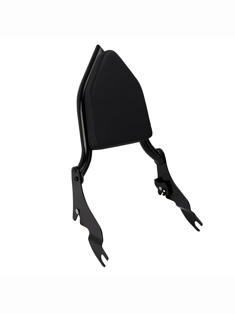 2014-2022 CVO LIMITED FLHTKSE Passenger Sissy Bar Backrest