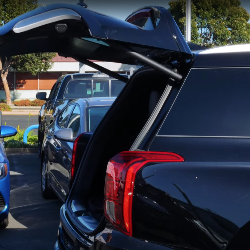 2020-2022 Hyundai Palisade 2PCS Power Liftgates Lift Support 81831-S8100