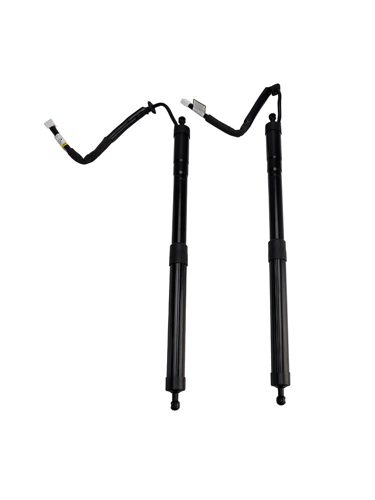 2018-2022 LEXUS RX RX350L RX450HL 2PCS Rear Power Hatch Lift Support 6892048061 6892048060