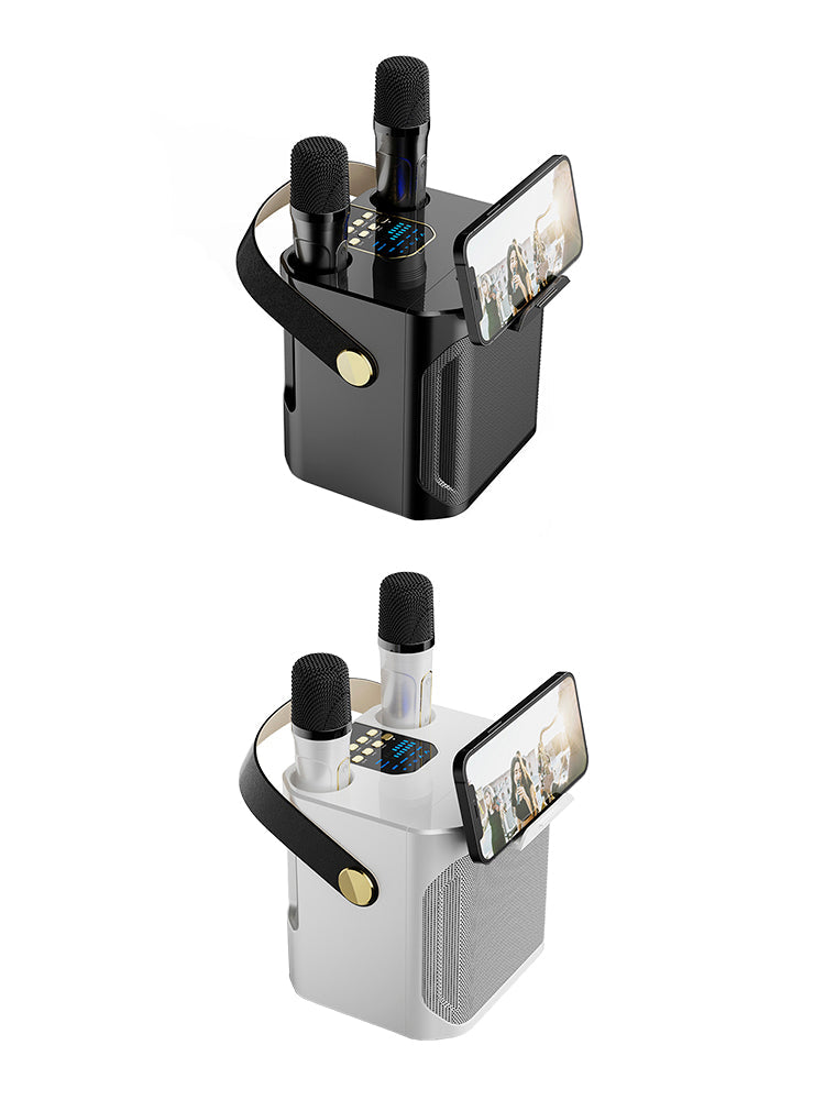 Wireless Bluetooth Speaker Dual Microphone Karaoke Home Portable Karaoke Speaker