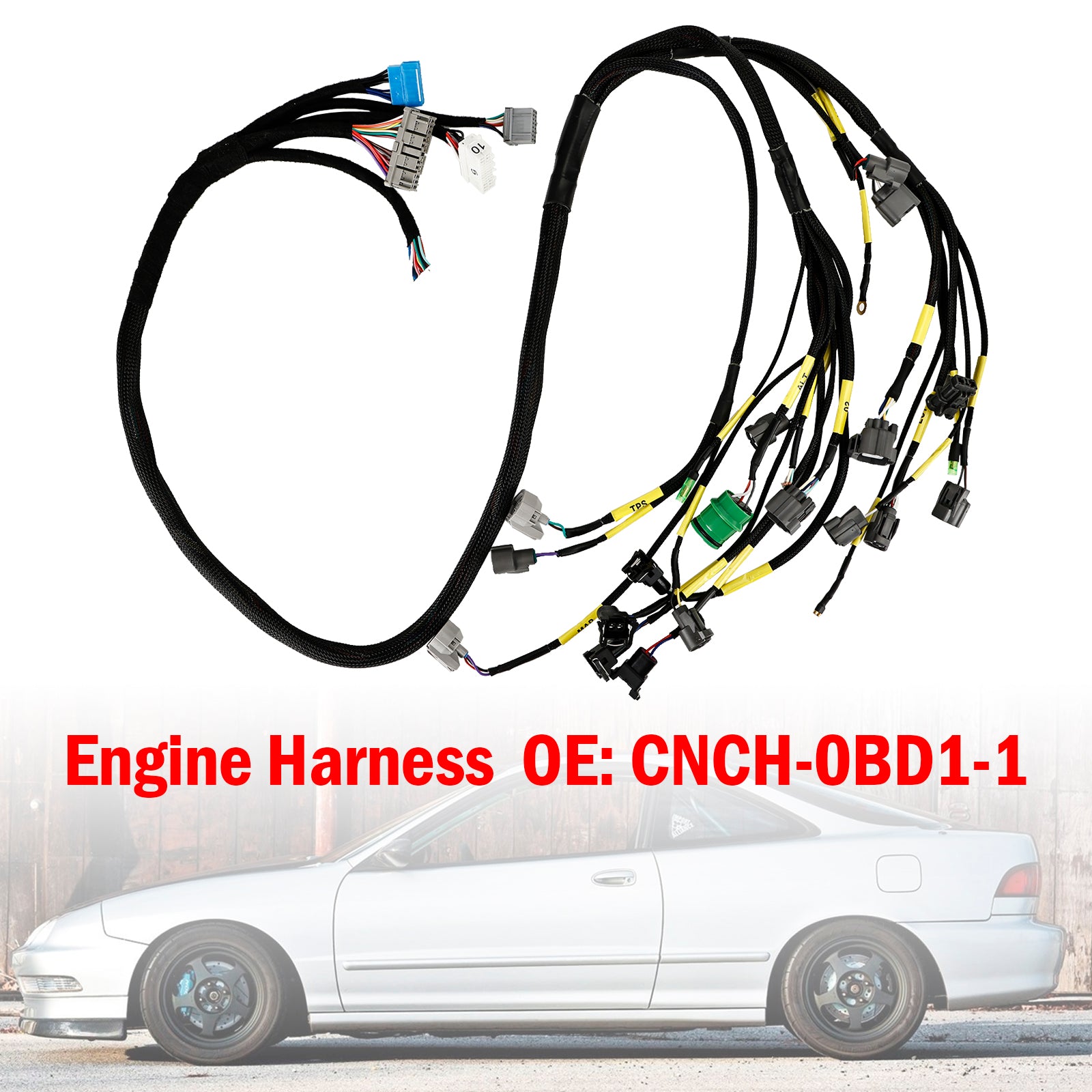 OBD1 Budget D & B-series Tucked Engine Harness for Civic Integra B16 B18 D16