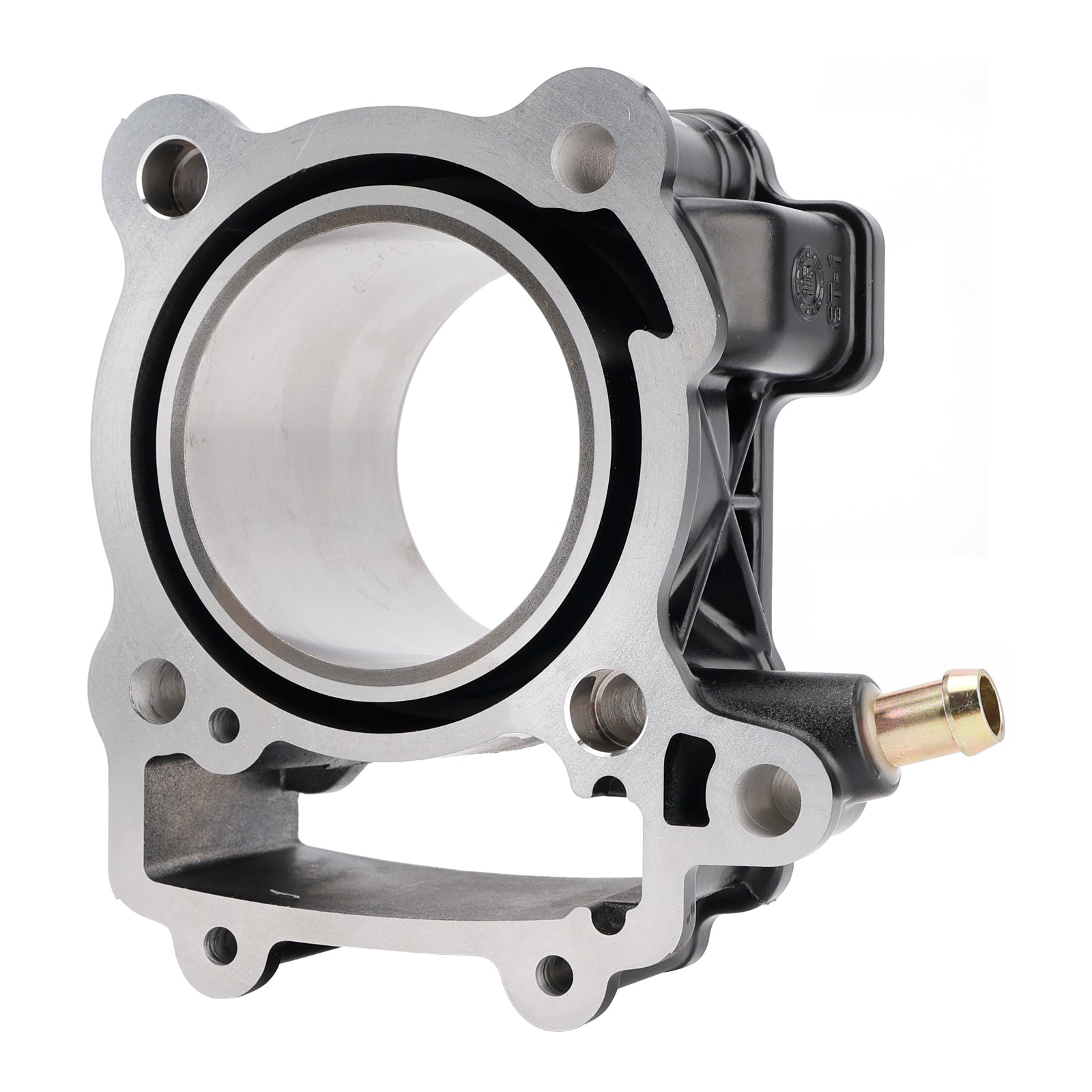 2015-2016 Bajaj Pulsar AS 200 250cc Cylinder Piston Kit 36JL0007 JL521002 JL511022