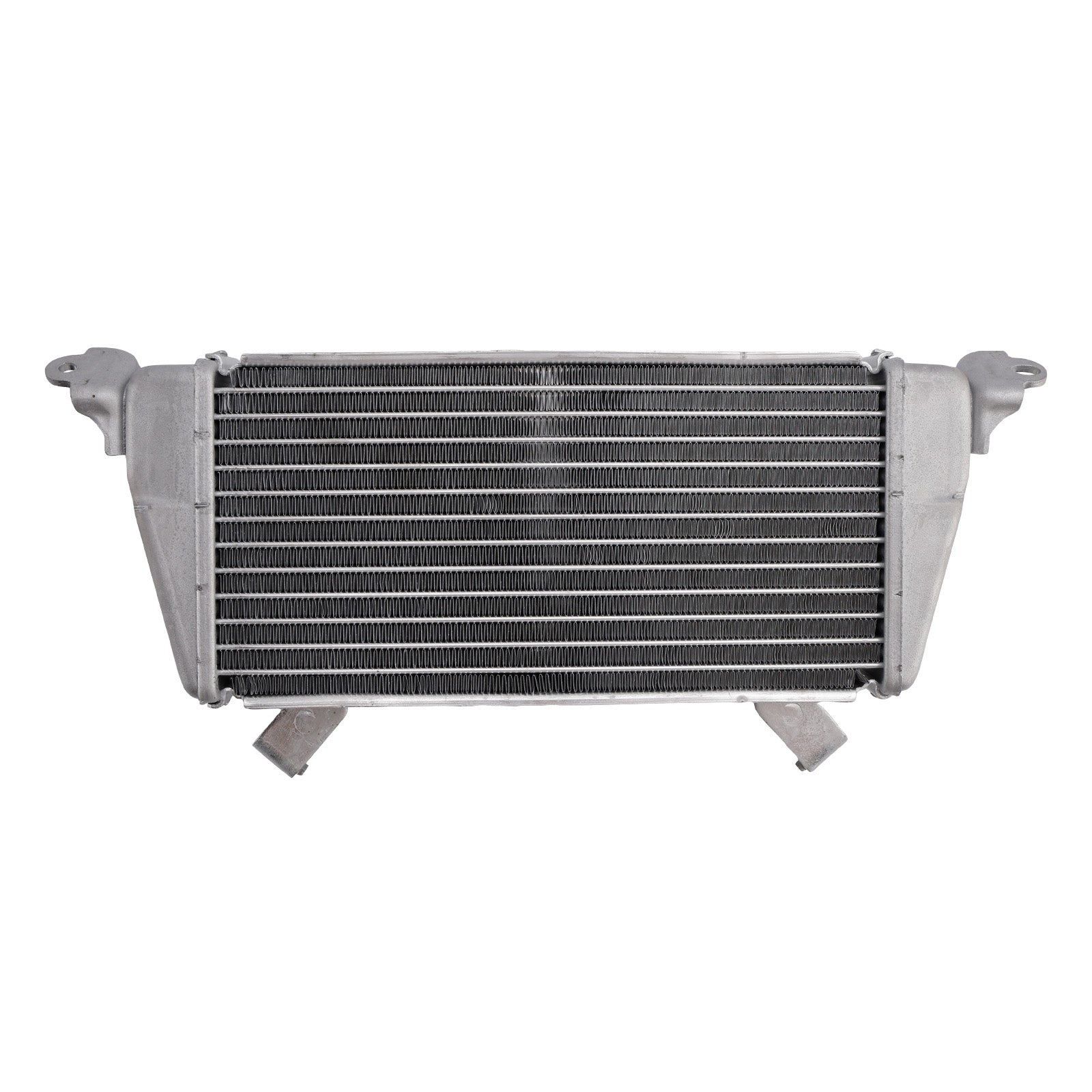 2021-2025 BMW S1000R Radiator Cooler Cooling