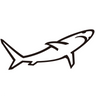bruceshark.com