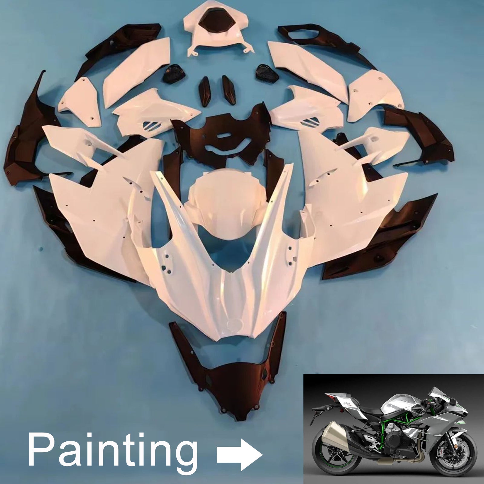 Kawasaki Ninja H2 2015-2022 Fairing Kit Bodywork ABS