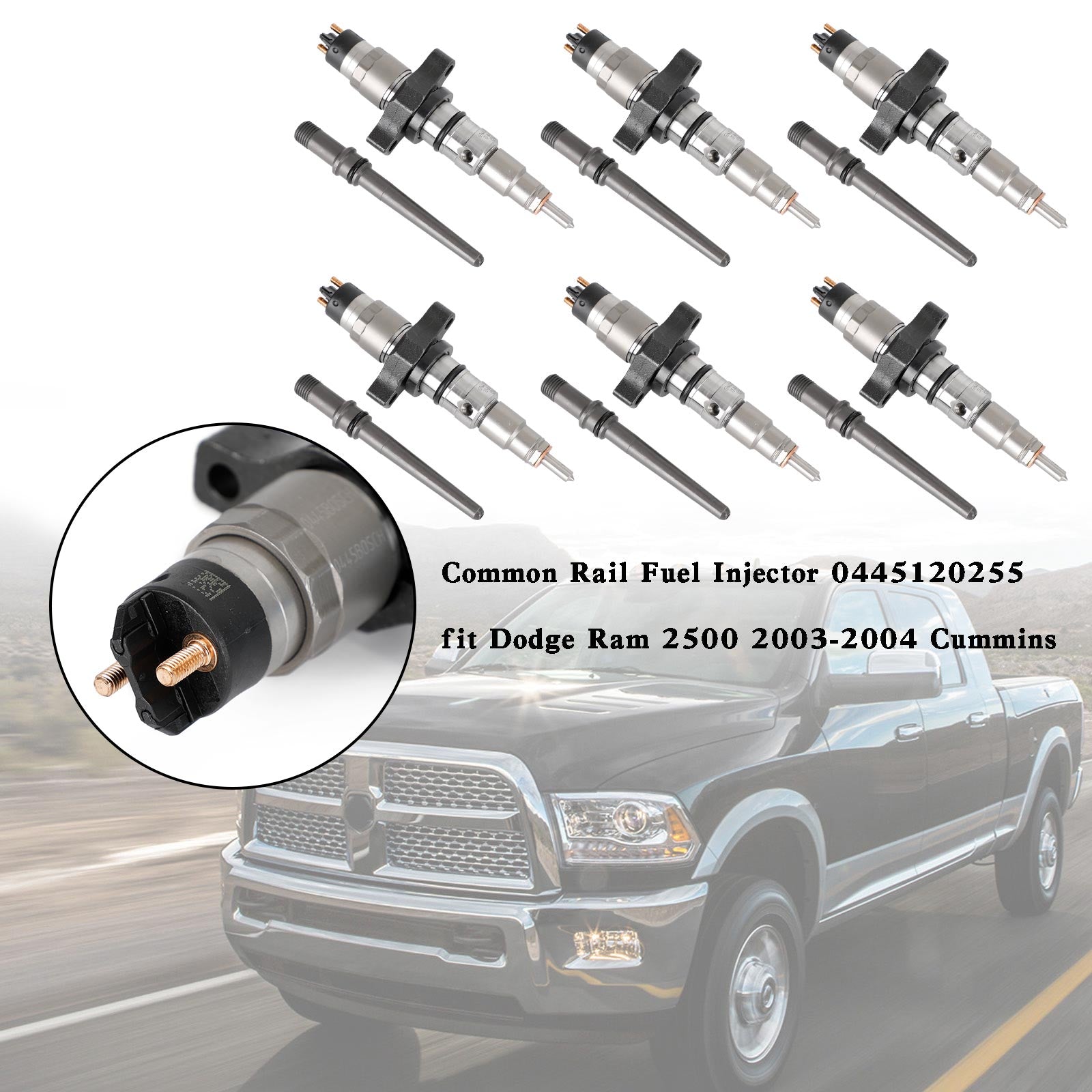 1PCS/6PCS 2003-2004 Dodge Ram 2500 3500 Pick-up Trucks 5.9L Diesel Early Production Common Rail Fuel Injector 0445120255 Generic