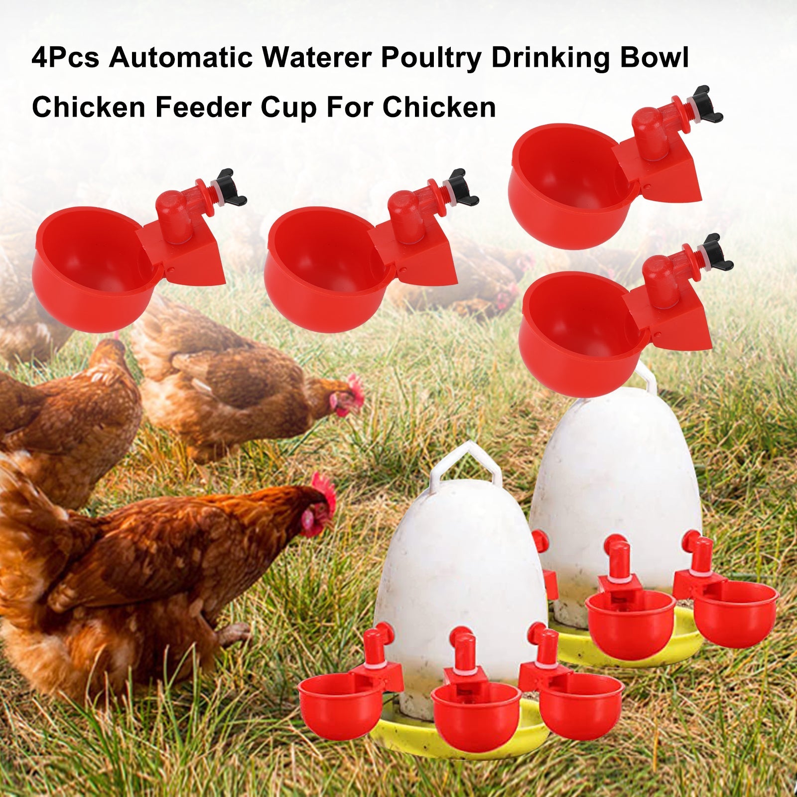 Bebedero automático para aves de corral, 4 Uds., taza alimentadora de pollo para pollo