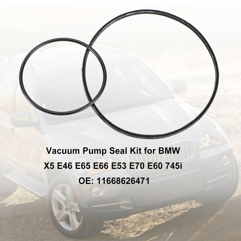 Vacuum Pump Seal Kit for BMW X5 E46 E65 E66 E53 E70 E60 745i 11668626471 Generic