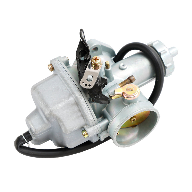 Carburetor Carb fit for Italika Dm200