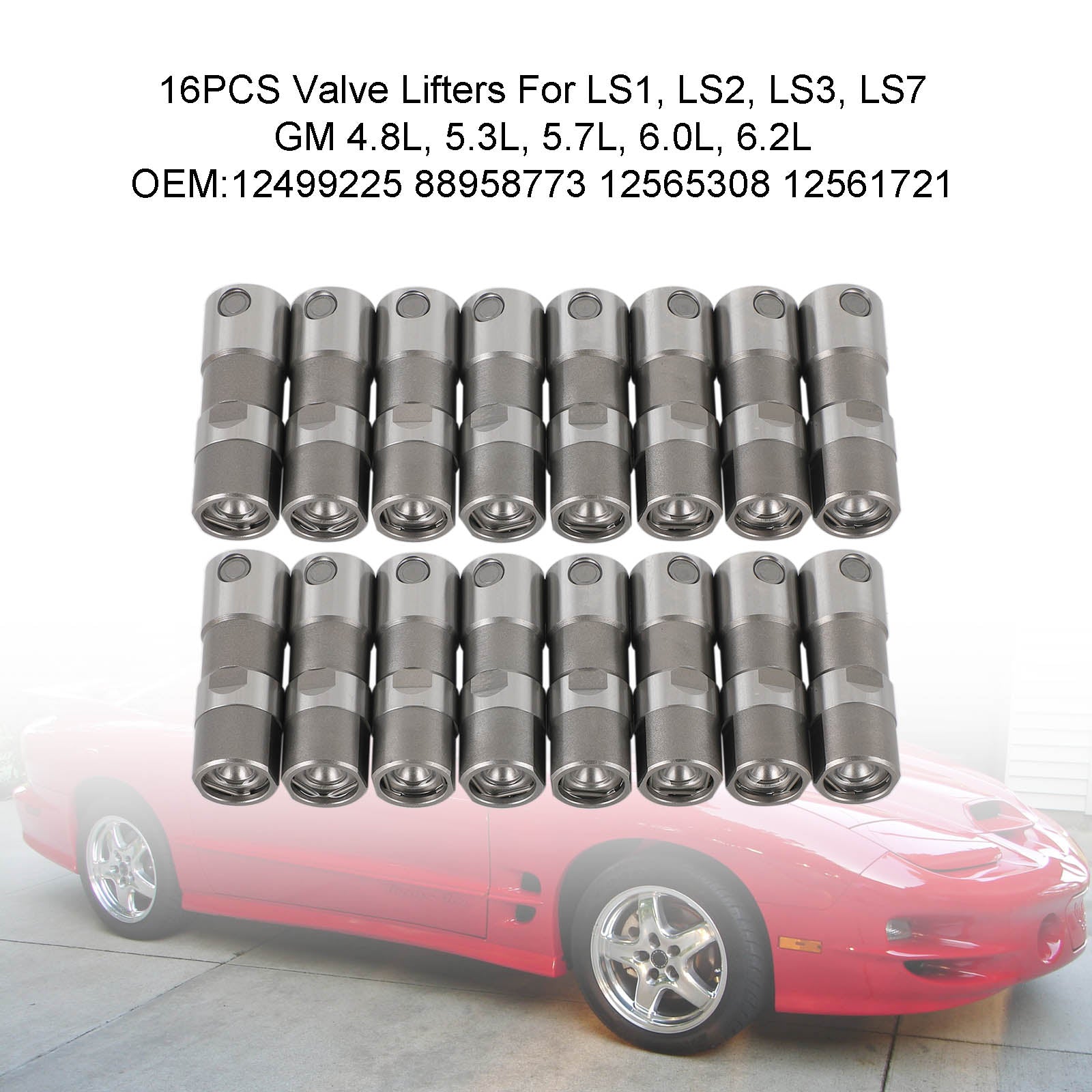 16PCS Valve Lifters For LS1, LS2, LS3, LS7 GM 4.8L, 5.3L, 5.7L, 6.0L, 6.2L Fedex Express Generic