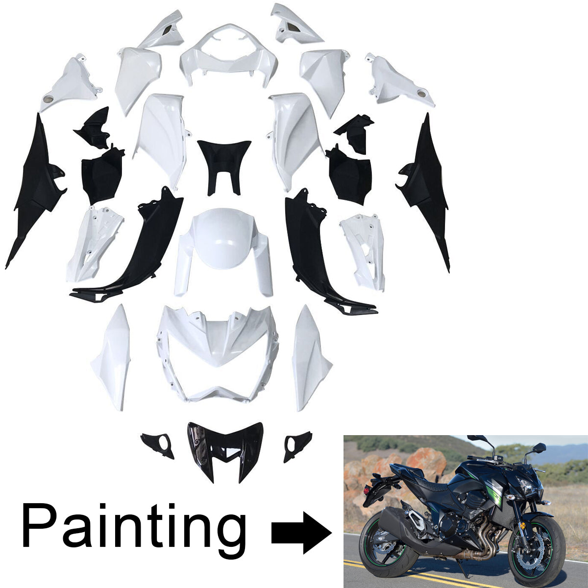 Kawasaki Z800 2013-2018 Fairing Kit